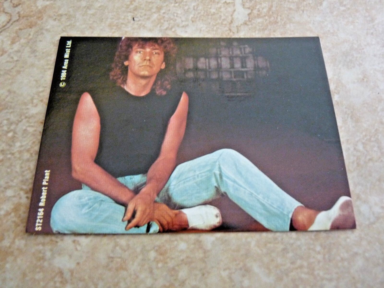 Robert Plant Led Zeppelin 3x4 1984 Sticker Photo Poster painting