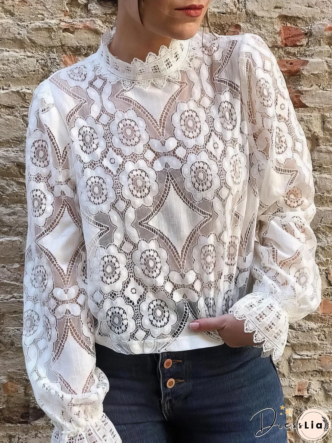 Stand Collar Hollow Lace Long Sleeve Blouse