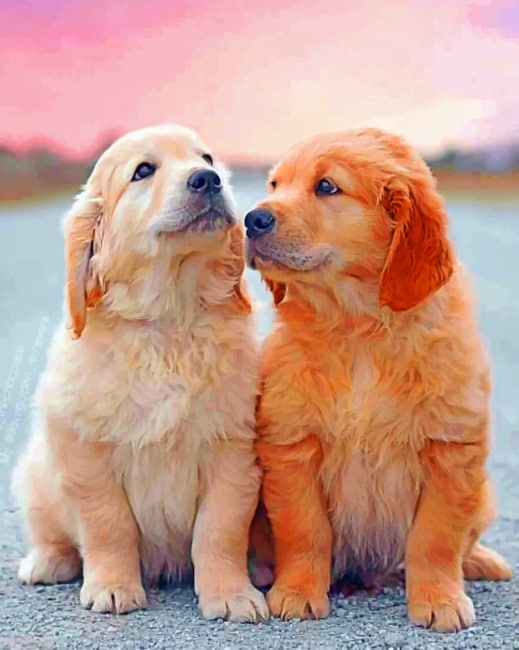 

Cute Puppies – Paint By Numbers - 40*50CM, 501 Original