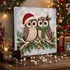 (20x20cm)Owl Xmas Pearl Painting Art Kits With Inner Frame Pearl Gem Paintings Picture Arts Craft for Adults Beginners Home Wall Decor
