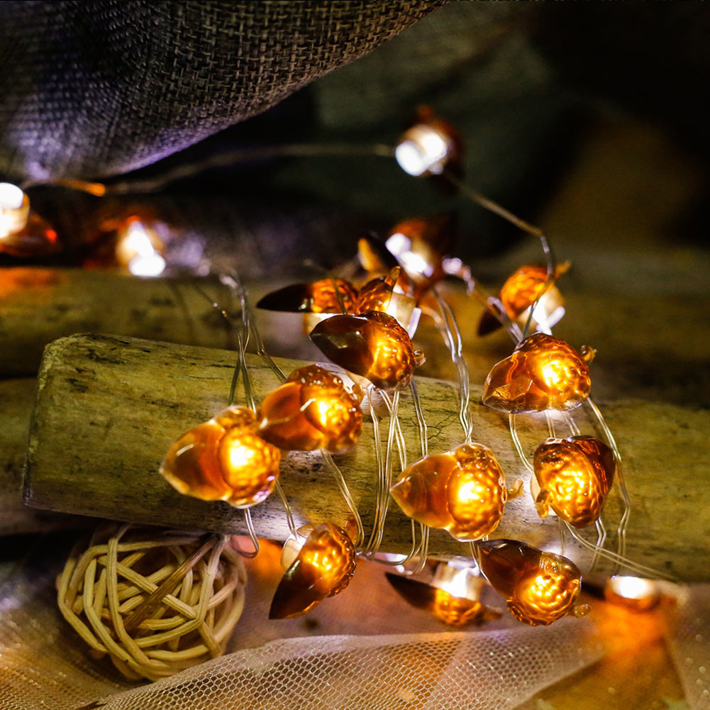 

20LED Acorn Fairy Autumn W/Remote Control-Curtain String Night Light, 501 Original