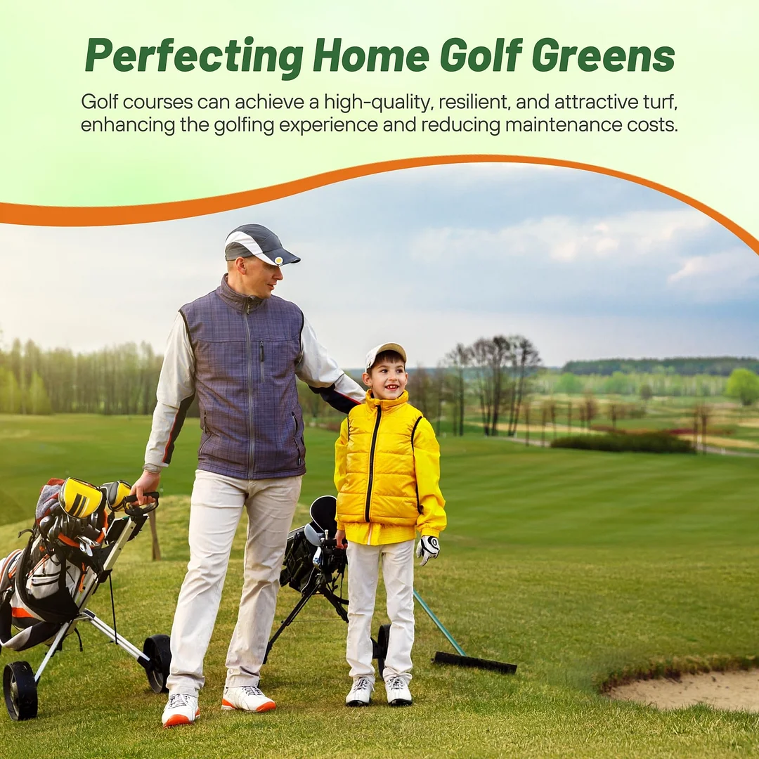 Yukon Bermuda Grass Seed