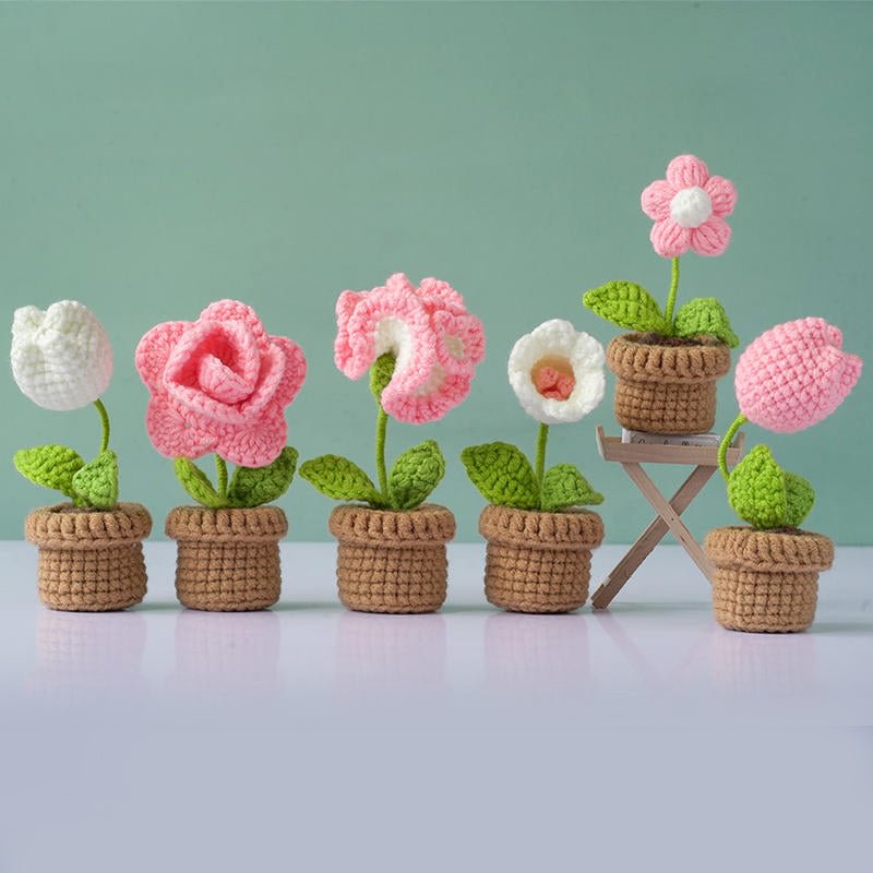 Cuteeeshop Crochet Kits Pink Flowers and Potted Plants Beginners Crochet Kit with Easy Peasy Yarn-6pcs
