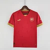 2022 FIFA World Cup Serbia Home Soccer Shirt