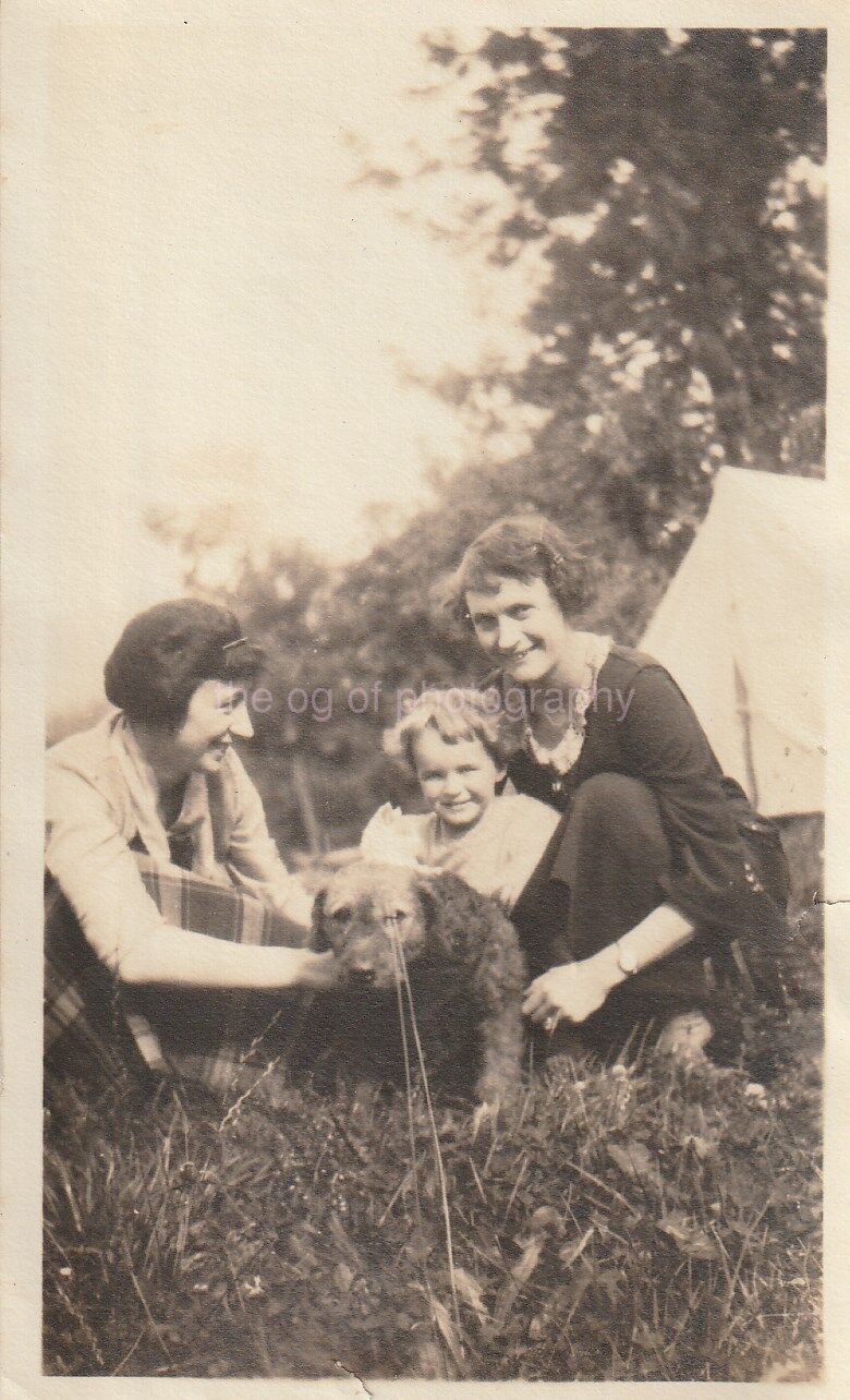 Family Dog FOUND Photo Poster painting Original bw Snapshot Photo Poster paintingGRAPHYM 85 10