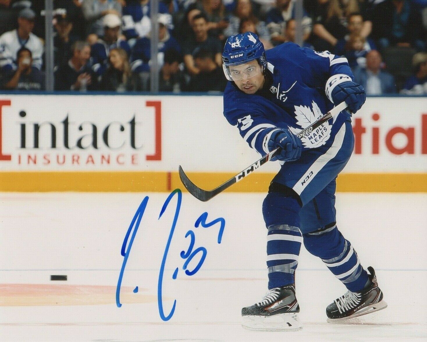 Toronto Maple Leafs Codi Ceci Signed Autographed 8x10 NHL Photo Poster painting COA #6