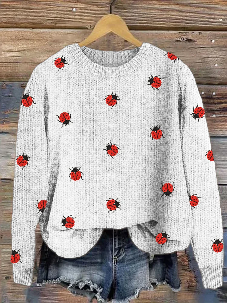 VChics Ladybug Insect Embroidery Cozy Knit Sweater