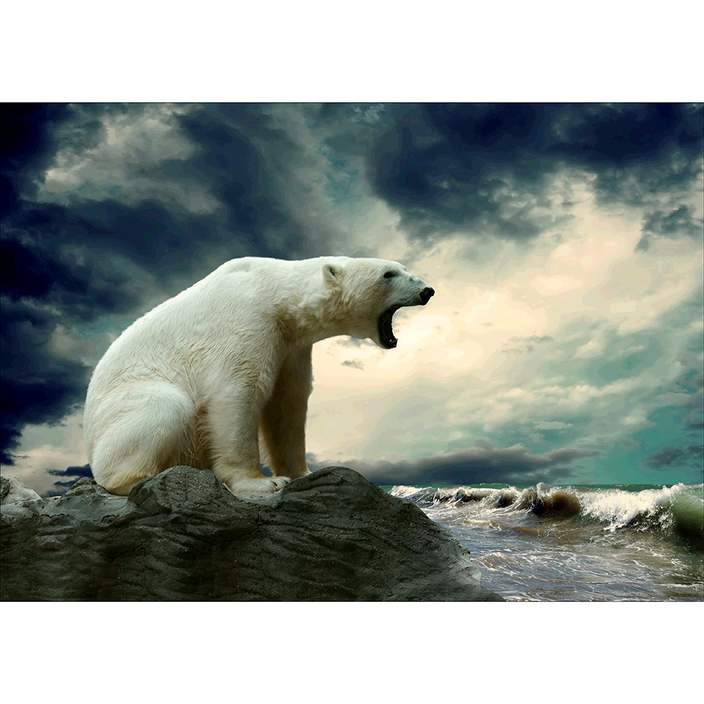 

40*30CM - Round Drill Diamond Painting - Polar Bear, 501 Original