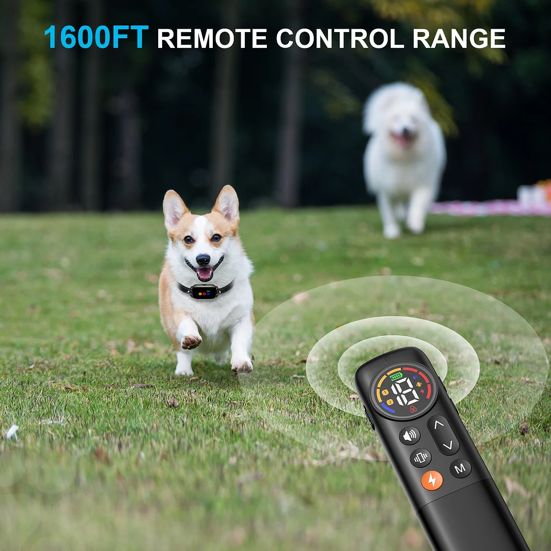 BEBANG Dog Training Collar, 2 Dog Shock Collar with 3 Training Modes, Rechargeable Waterproof Electric Dog Collar for Small to large Dogs, Security Lock