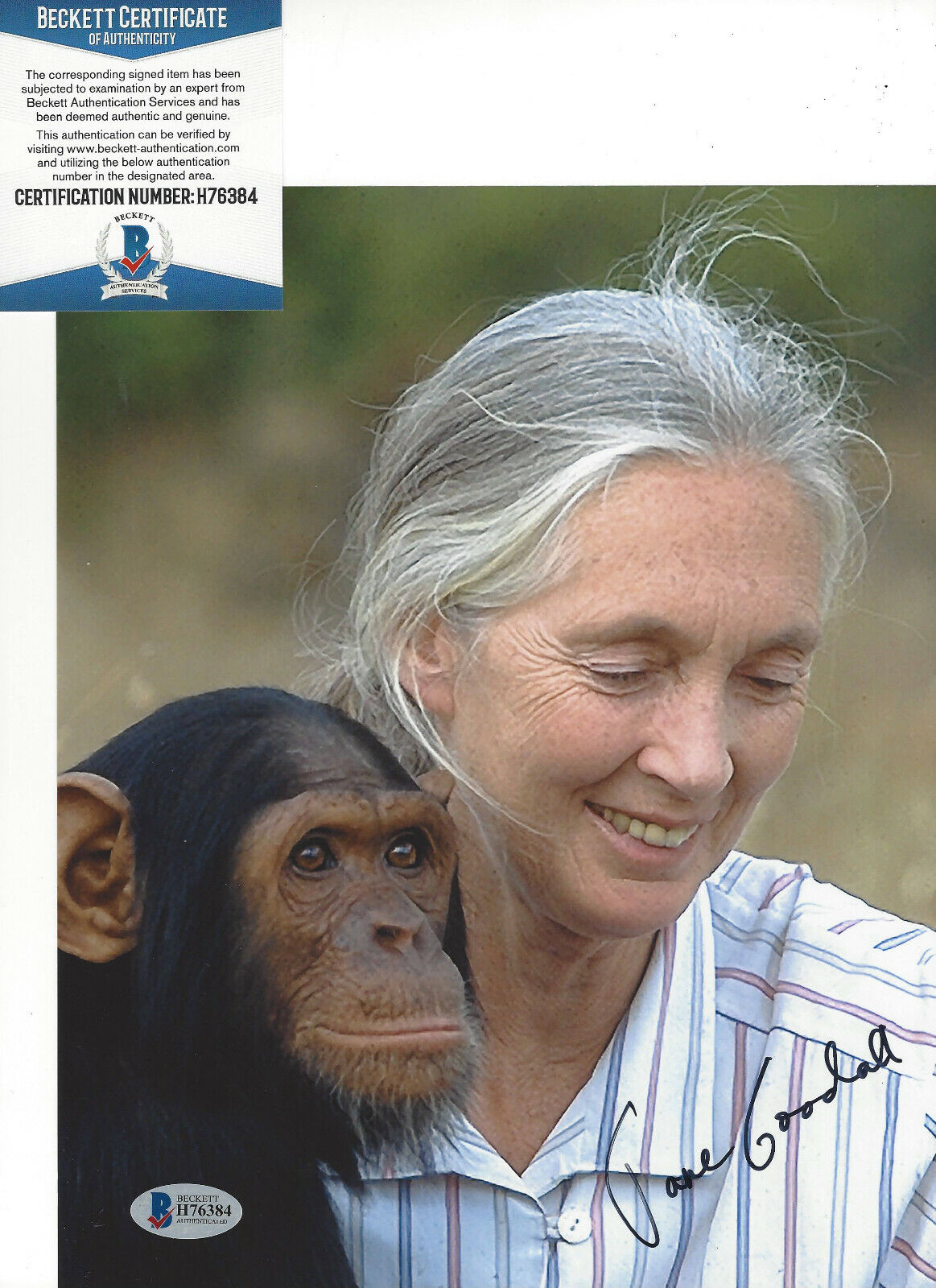 JANE GOODALL SIGNED LIVING WITH CHIMPS 8x10 Photo Poster painting 2 ANTHROPOLOGIST BECKETT COA