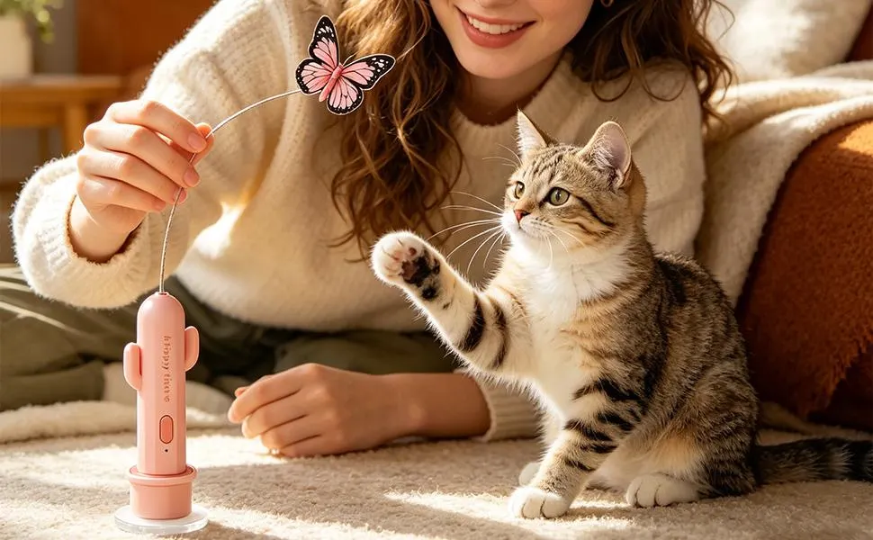 Cat Toys