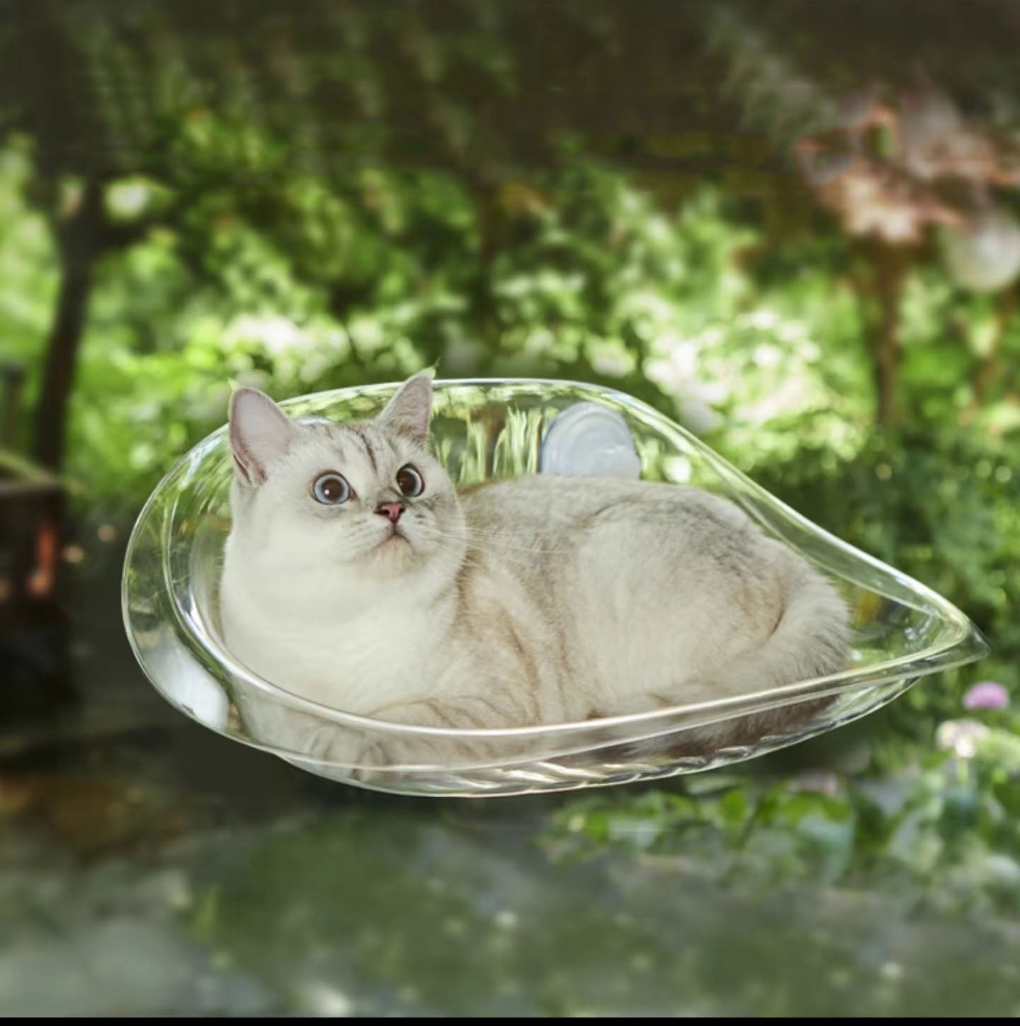 Window Transparent Cat Transparent Cat Window Perch,ABS Material