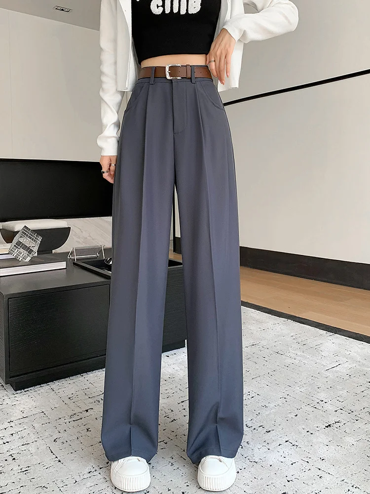 Toloer Narrow Version Wide Leg Pants Female Spring And Summer 2024 New High Waist Hanging Feeling Straight Tube Small Senior Sense Pressure Pleated Suit Pants-Outfit Ideas