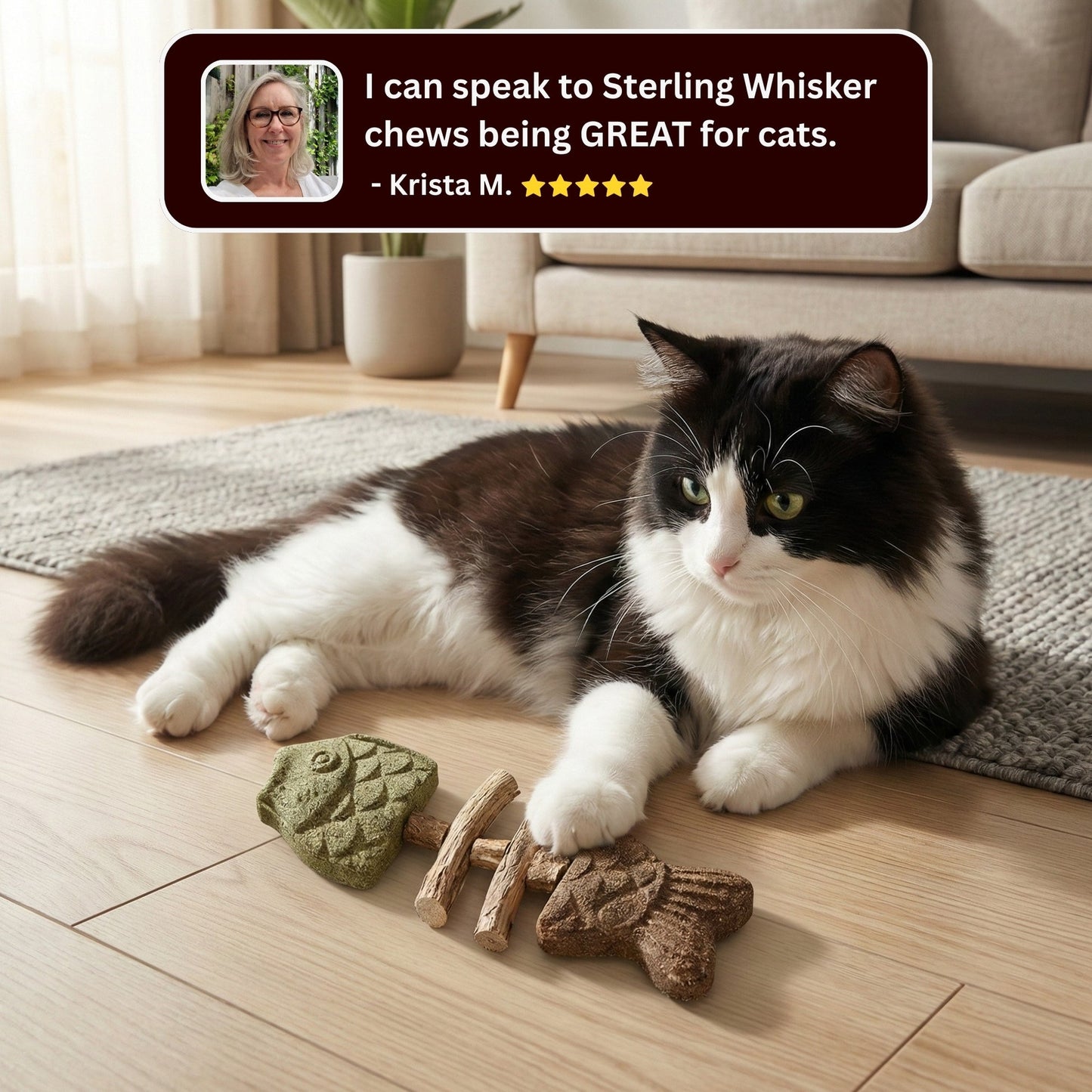 Cat playing with chew toy