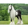 Diamond Painting -DIY Round Drill Long Haired Horse