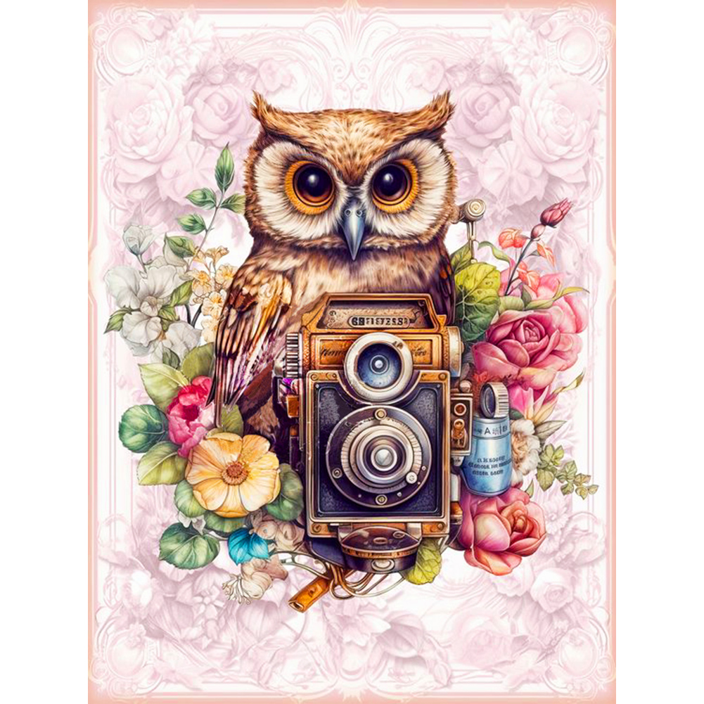 Owl With Camera 30*40CM(Canvas) Full Round Drill Diamond Painting gbfke