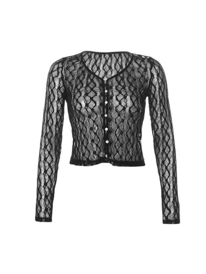 Brownm Sheer Lace Long Sleeve Crop Blouse
