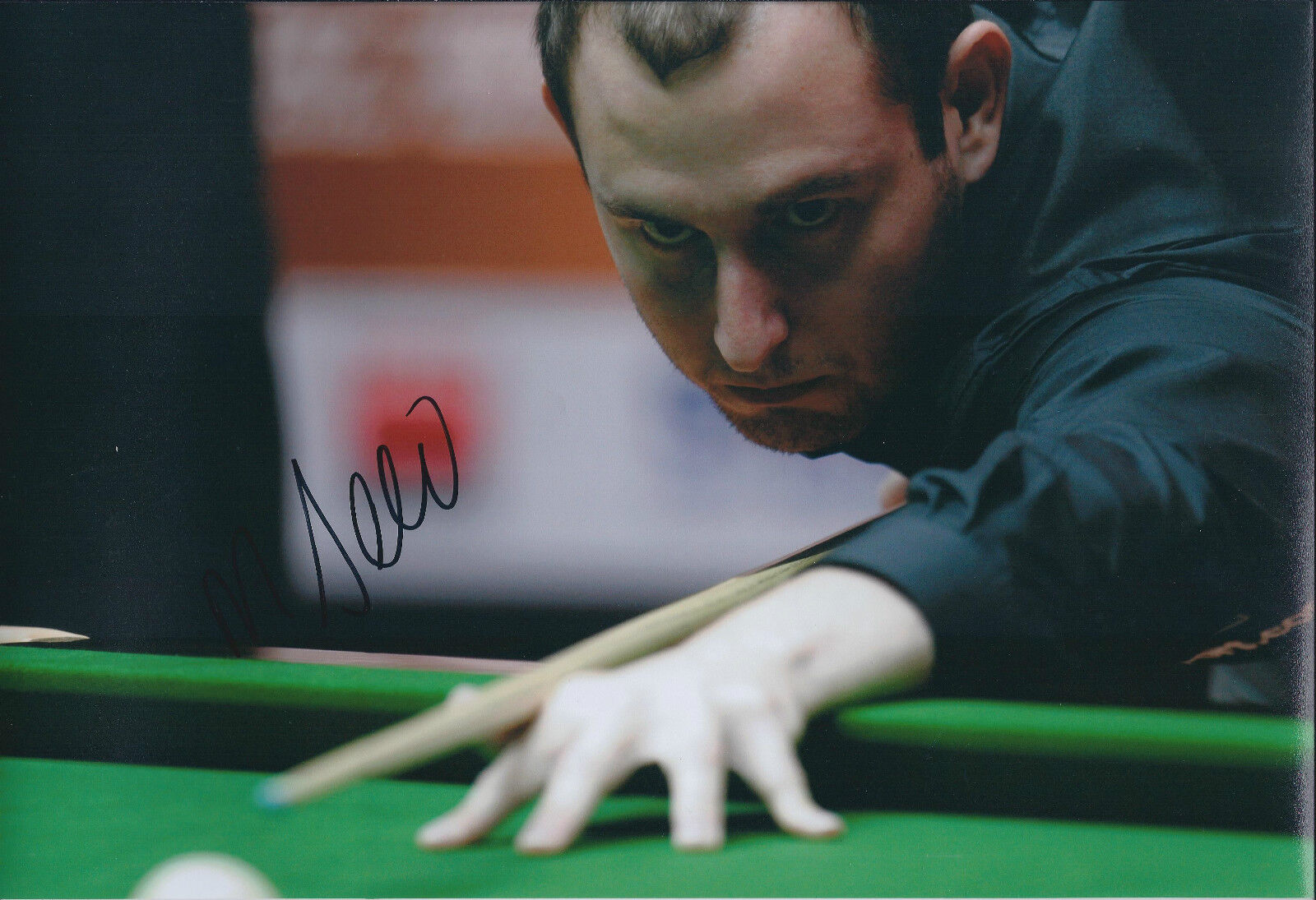 Matthew SELT SIGNED 12x8 Photo Poster painting Autograph COA AFTAL SNOOKER Player