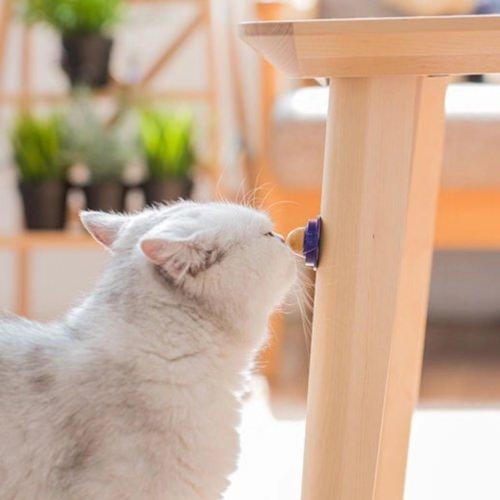 Best Lickable Cat Treat - KittyChups