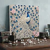 White Peacock-Partial Special Shaped Diamond painting 30*30cm