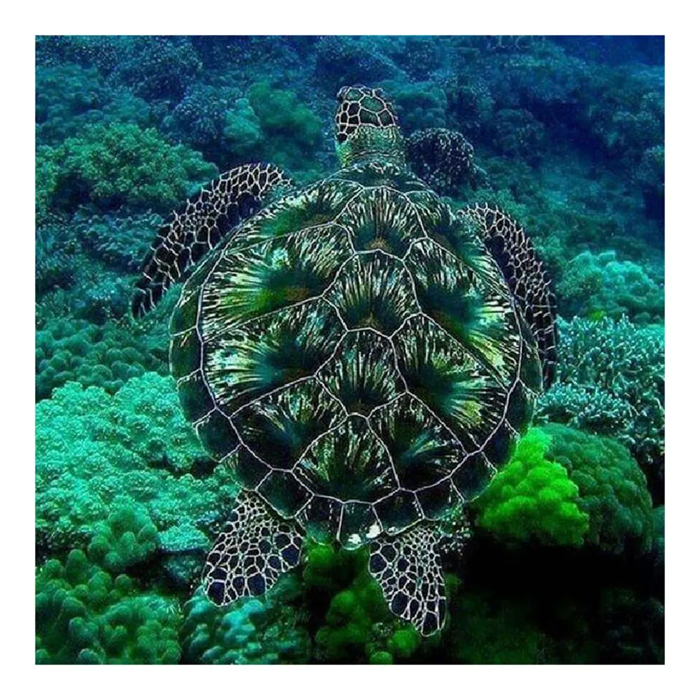 Diamond Painting-5D Full Round Drill Sea Turtle