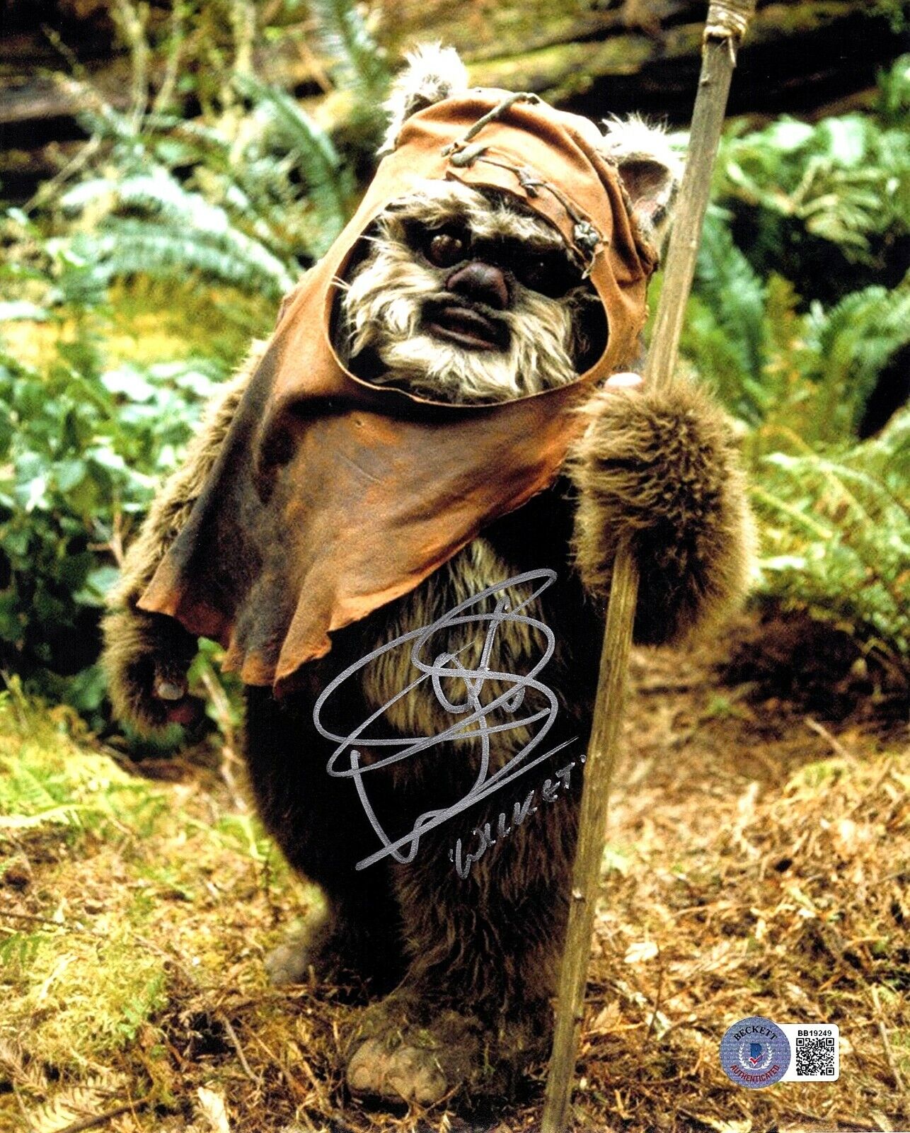 WARWICK DAVIS Signed Autograph Star Wars Wicket