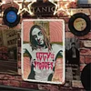 Iggy Pop - Vintage Metal Signs - 20*30cm/30*40cm - Music