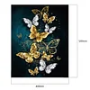 Painting By Numbers - DIY Color Butterfly (40*50cm)