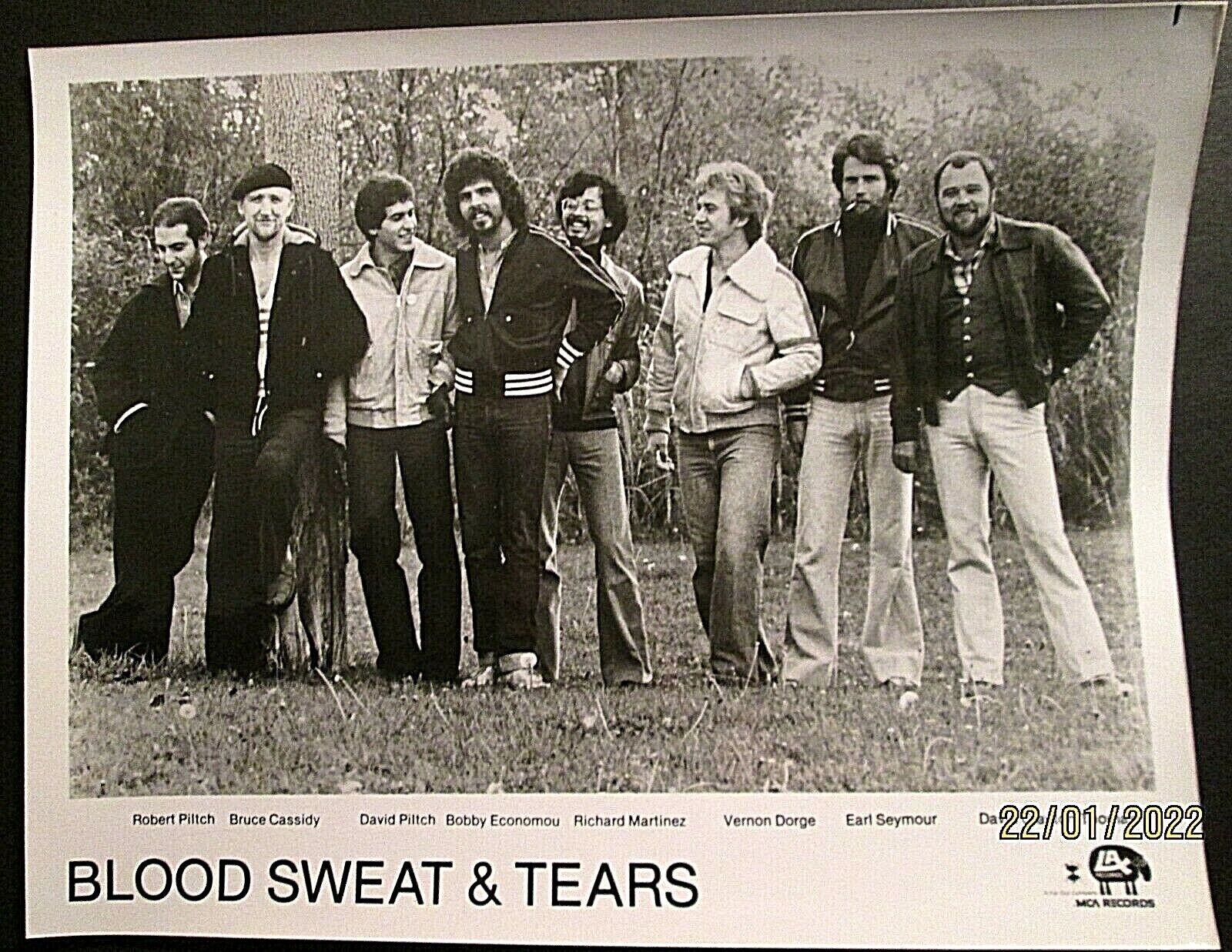 BLOOD SWEAT & TEARS ( ORIGINAL VINTAGE RECORD PROMO Photo Poster painting) CLASSIC Photo Poster painting