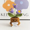 (Finished Product)Crochet Flower Potted Doll with Positive Card Desktop Ornaments, Potted Plants, Bouquets Gift Home Decor