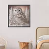 Pearl Snow Owl-Special Shaped Diamond Painting