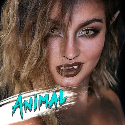 Animal