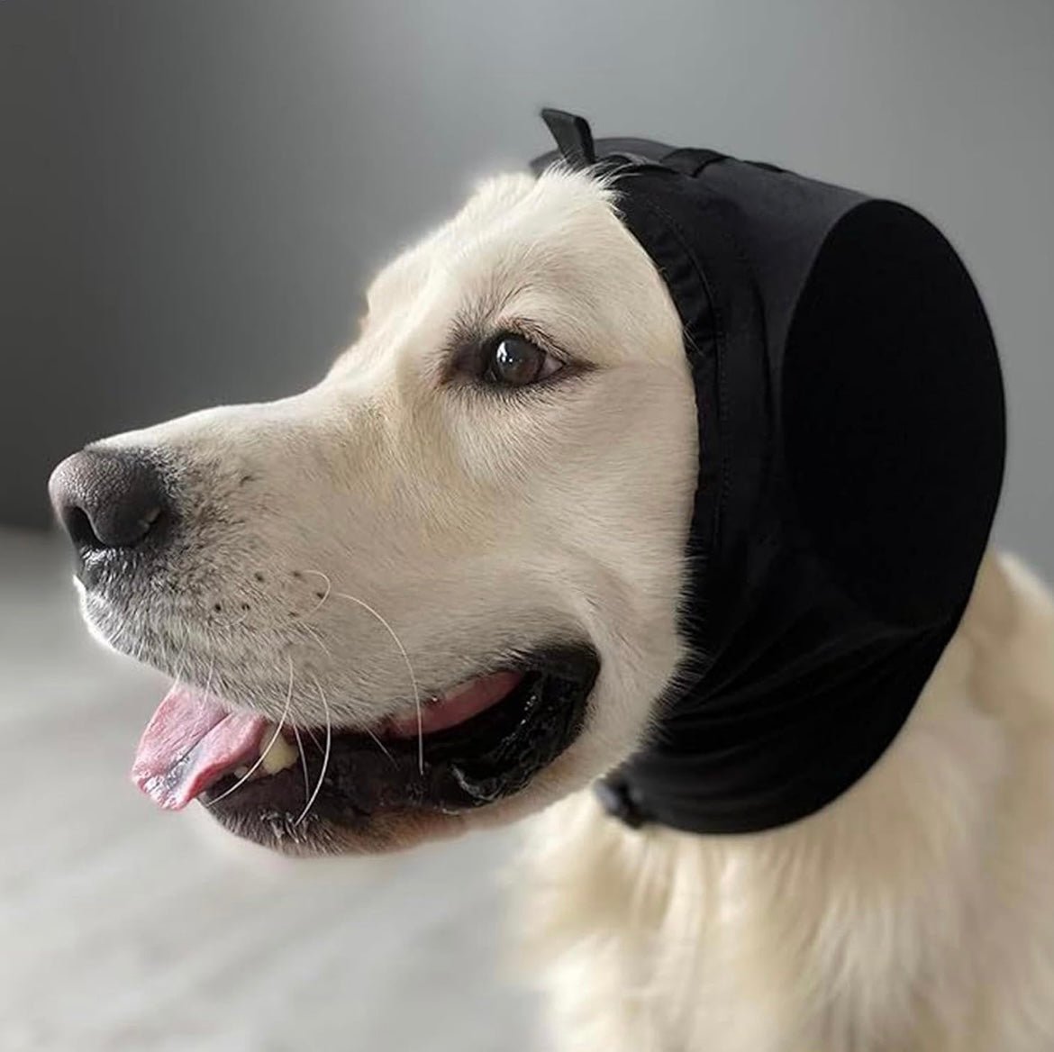 Dog Ear Muffs Noise Protection