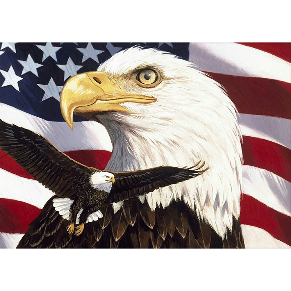 

Eagle-Round Drill Diamond Painting-40*30CM, 501 Original