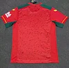 2023/2024 Wolverhampton Wanderers Away Football Shirt 1:1 Thai Quality