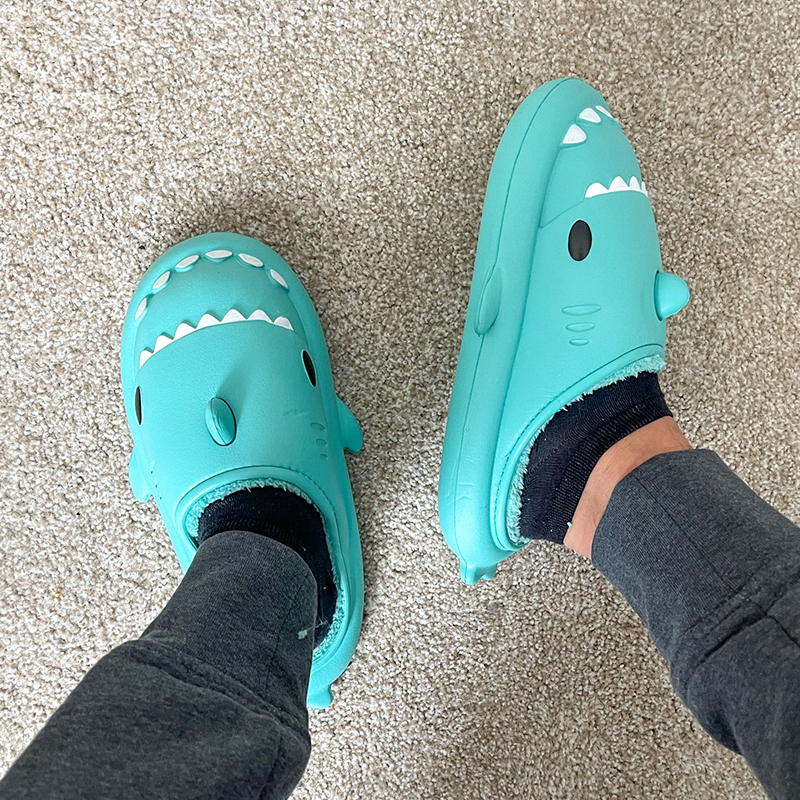 the cloud sharks winter