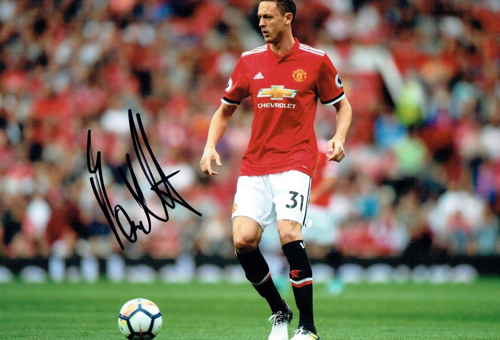 Nemanja MATIC Mati? SIGNED COA Autograph 12x8 Photo Poster painting 3 AFTAL Manchester United