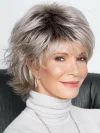 Fluffy Gray Short Straight Hair Wig