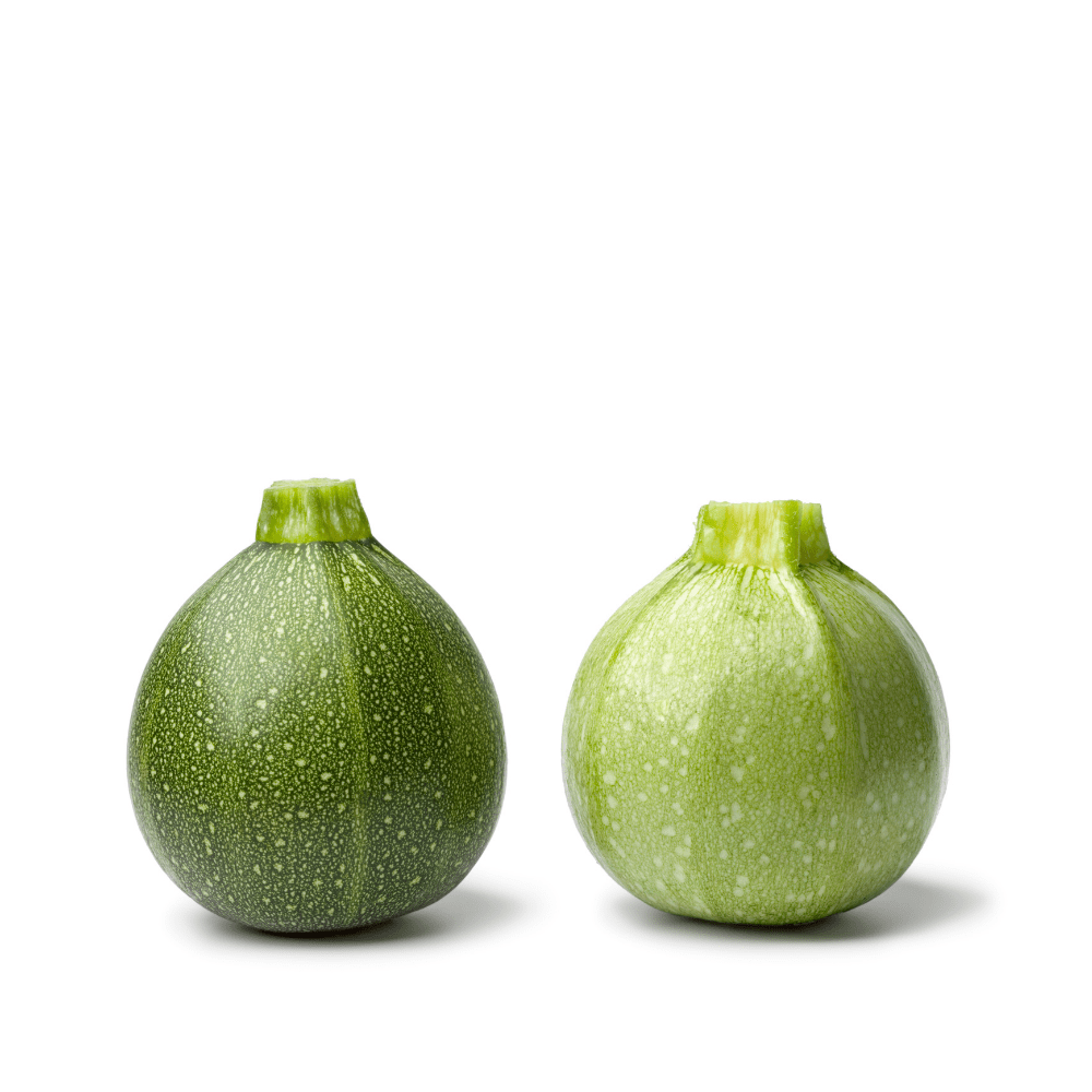 Heirloom Zucchini (Gol Tori) Seeds &ndash; Tender Italian Summer Squash