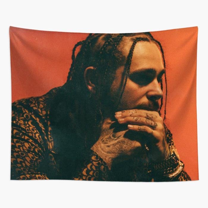 post malone tapestry