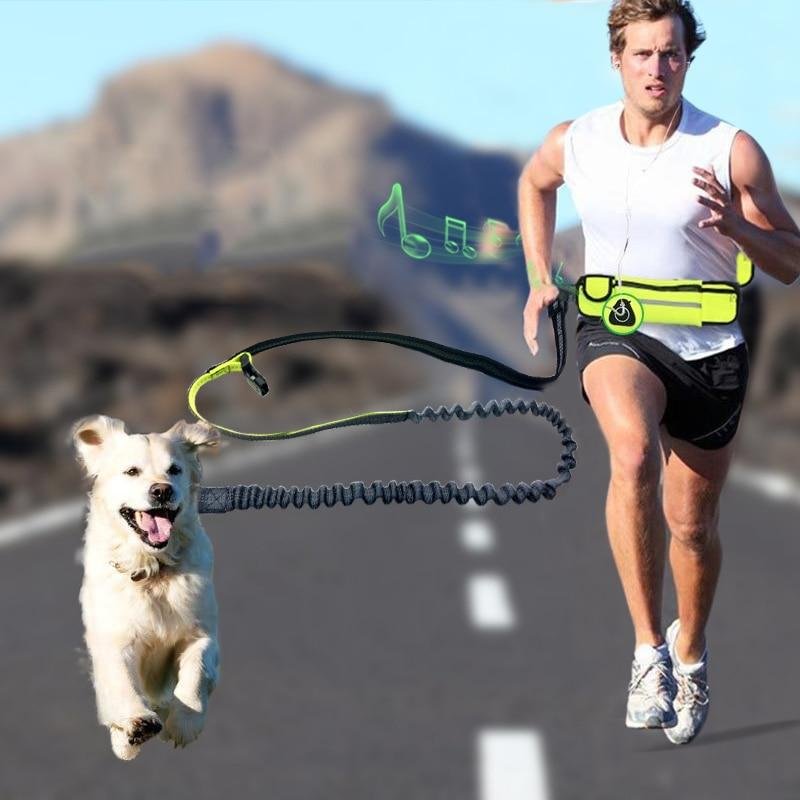 Hands Bungee Dog Leash