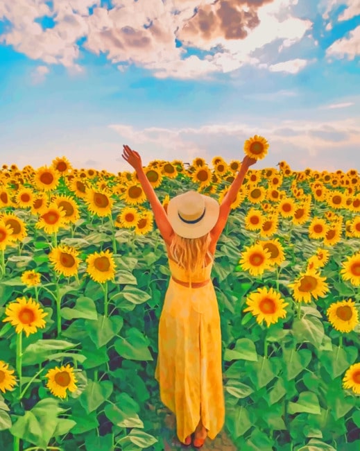 

Woman In A Field Of Sunflowers – Paint By Numbers - 40*50CM, 501 Original