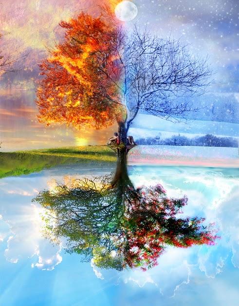

Tree Through Four Seasons – Paint By Numbers - 40*50CM, 501 Original
