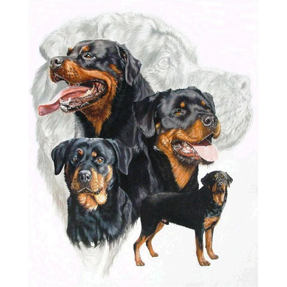 Full Round Diamond Painting - Dogs(30*40cm)