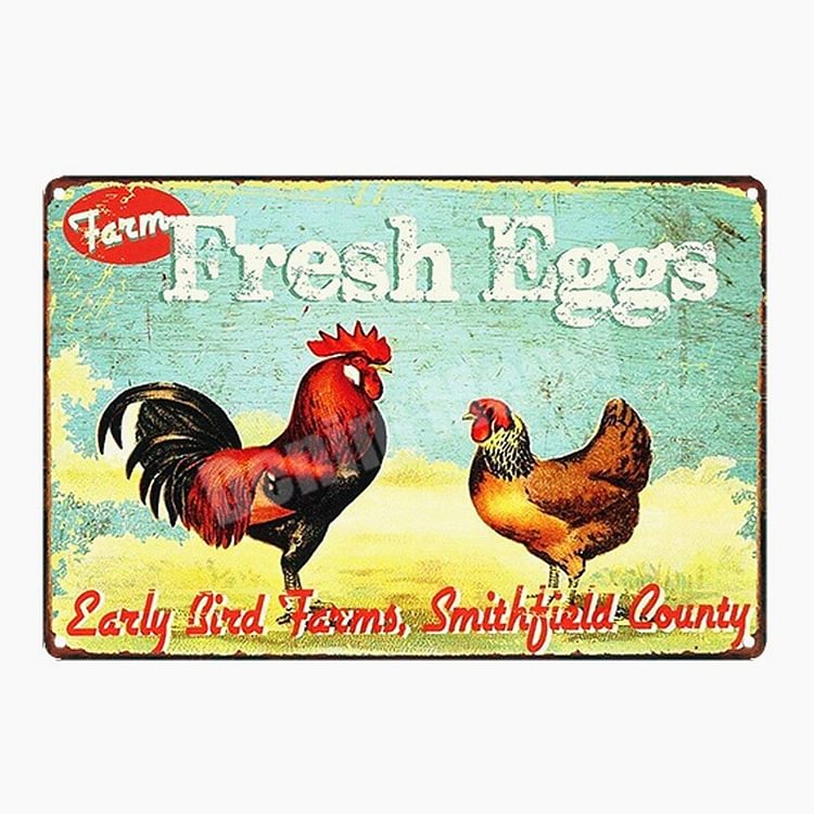 Beware of The Chicken Shit - Vintage Tin Signs/Wooden Signs - 7.9x11.8in & 11.8x15.7in