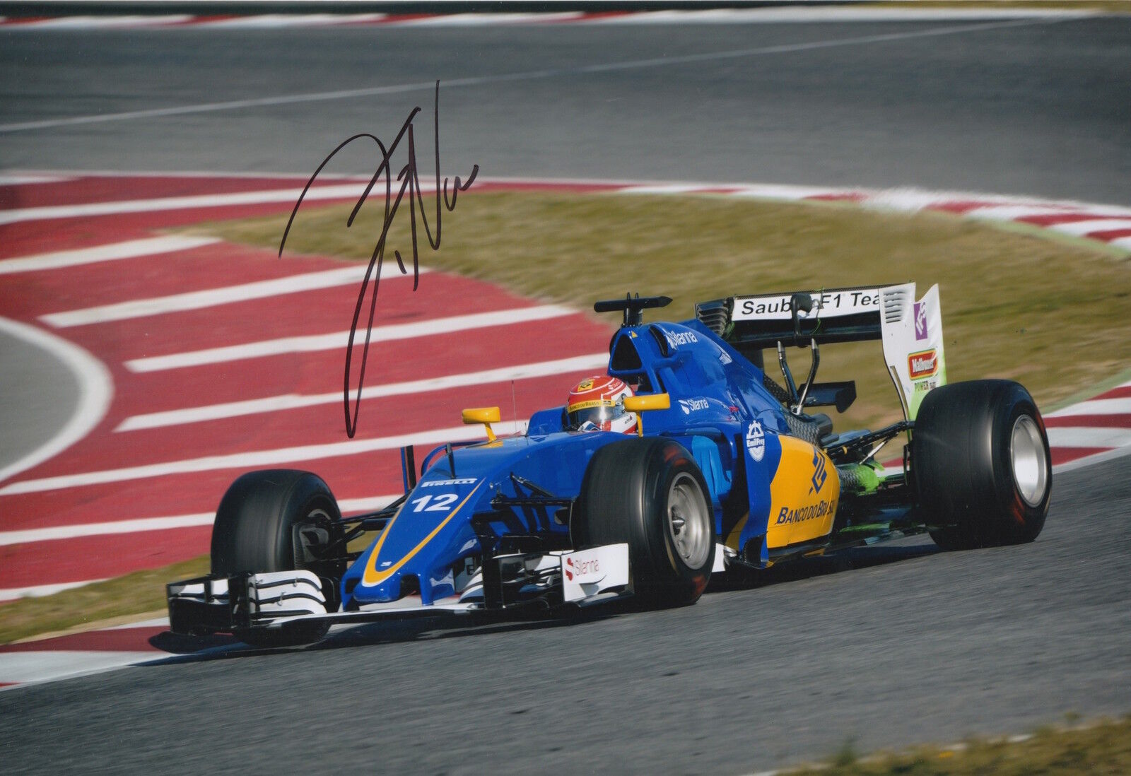 Felipe Nasr Hand Signed 12x8 Photo Poster painting Sauber F1 1.