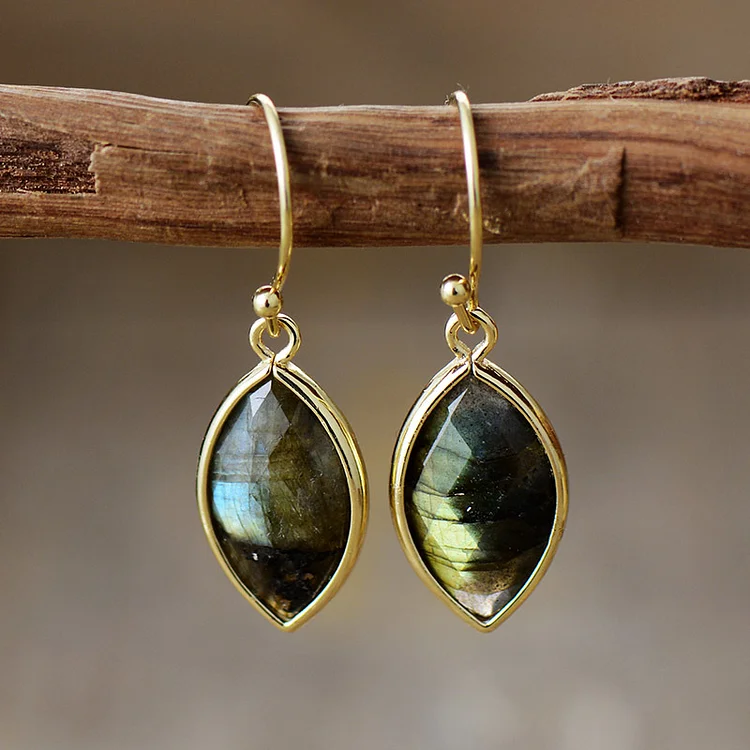 Natural Stone Pendant Earrings