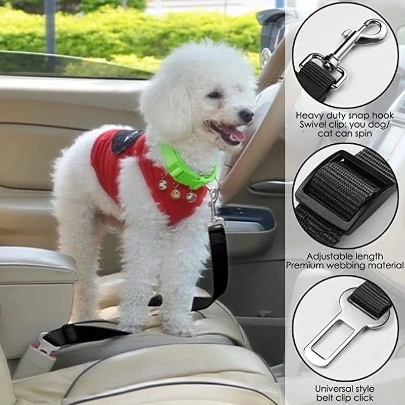 Pet Seat belt