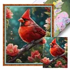 Cardinal-11CT Stamped Cross Stitch 40*50cm/15.75*19.69in