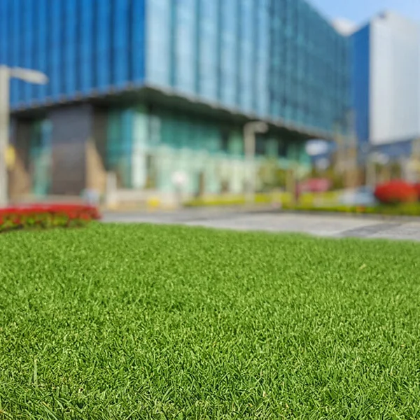 Seashore Paspalum Seed